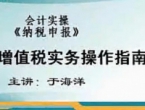 2011会计实务操作(会计实操)-纳税申报